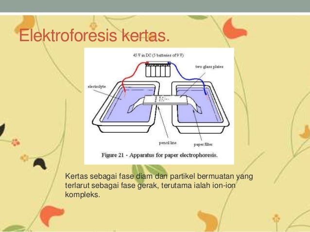 elektroforesis kertas